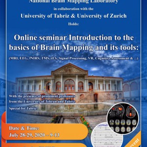 Online seminar Introduction to the basics of Brain Mapping and its tools: (MRI, EEG, fNIRS, tES, Signal Processing, VR, Cognitive Assessment & …)